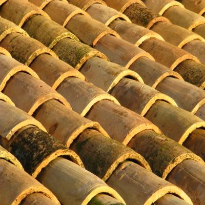 Tuiles anciennes 20 x 42 cm